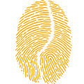 Pact
